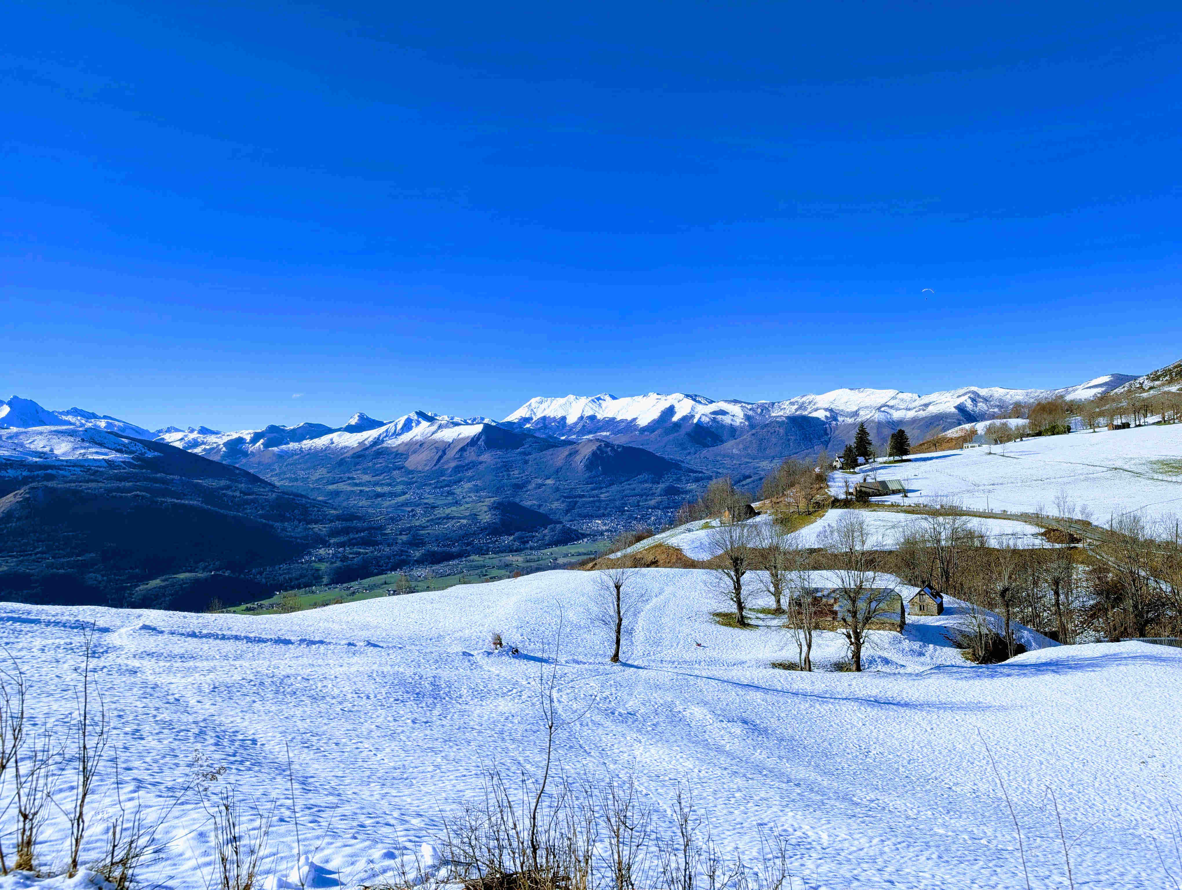 Pyrenees